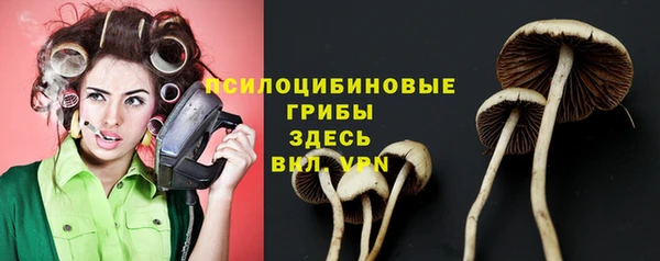 трава Каменка