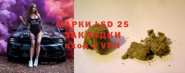 кокс Касимов