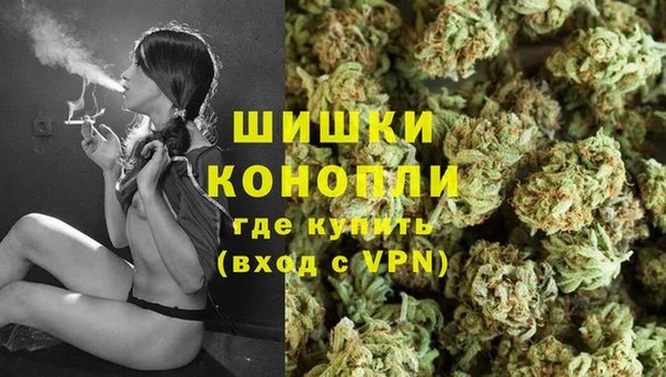 кокс Касимов