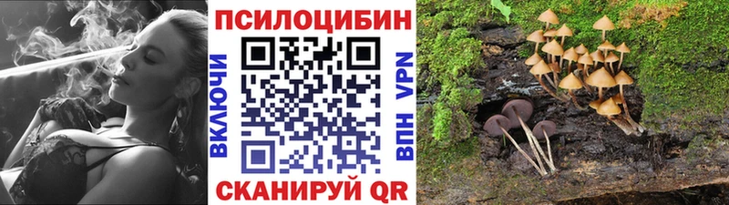 наркотики  площадка телеграм  Псилоцибиновые грибы прущие грибы  Кораблино 